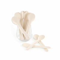 Compostable Paper Spoons - Pack of 100