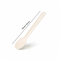 Compostable Paper Spoons - Pack of 100