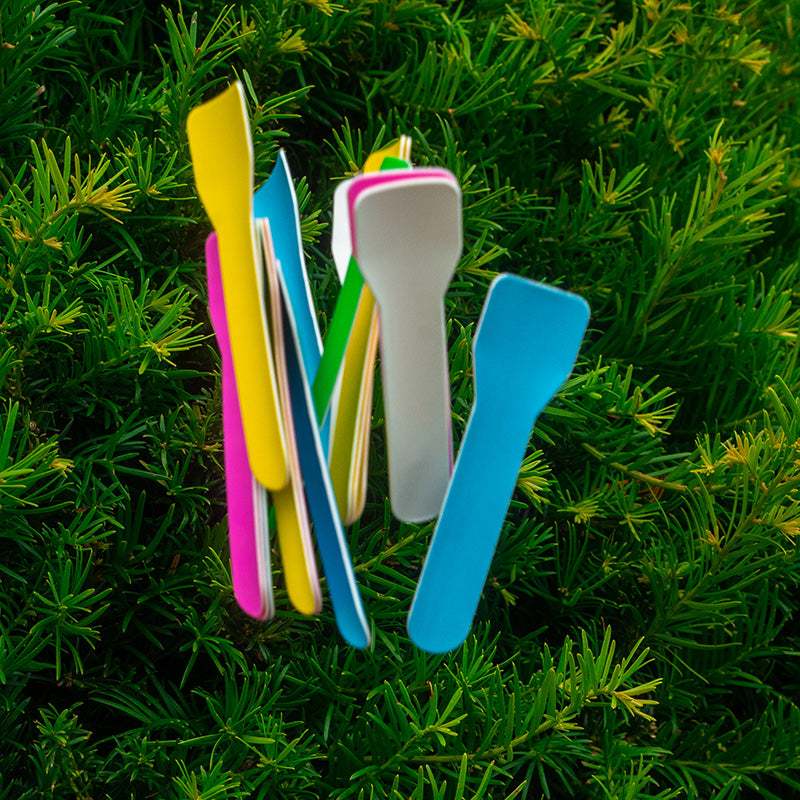 Compostable Paper Ice Cream Spoons